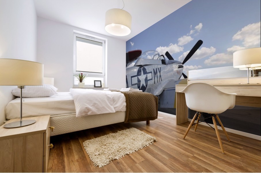 stk105455m Mural print