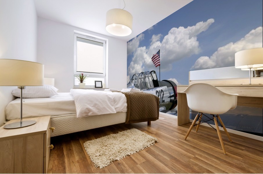 stk105441m Mural print