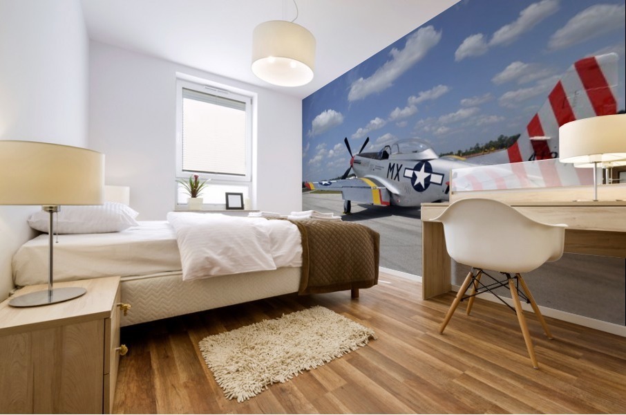 stk105462m Mural print