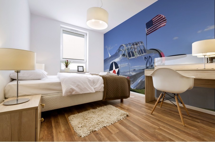stk105457m Mural print