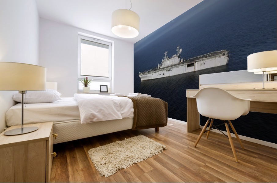 stk105616m Mural print