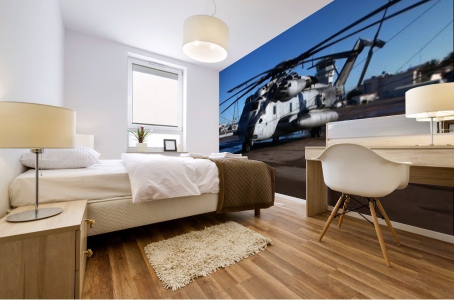stk106601m Mural print