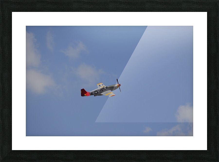 stk105492m Picture Frame print