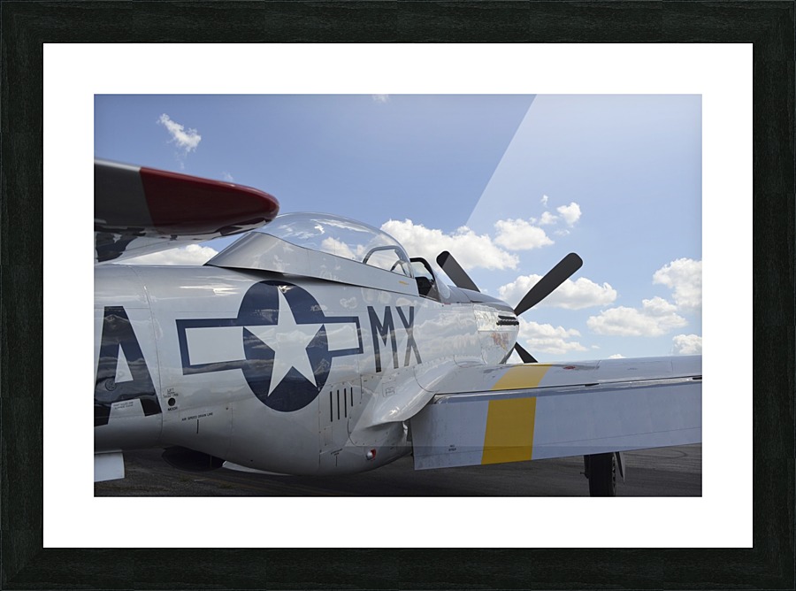stk105455m Picture Frame print