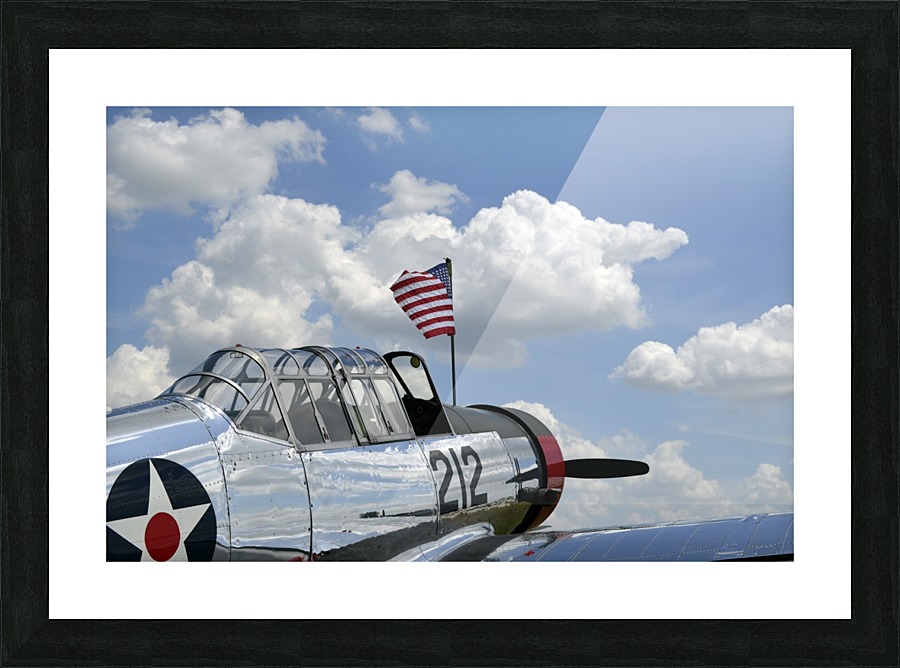 stk105441m Picture Frame print