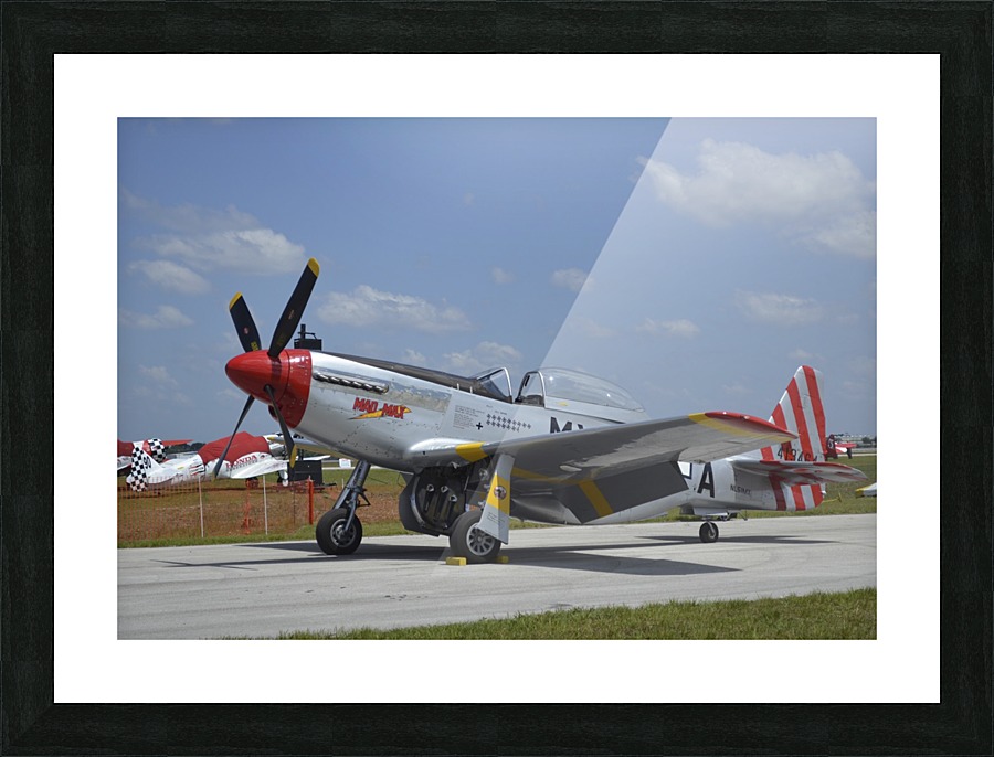 stk105451m Picture Frame print