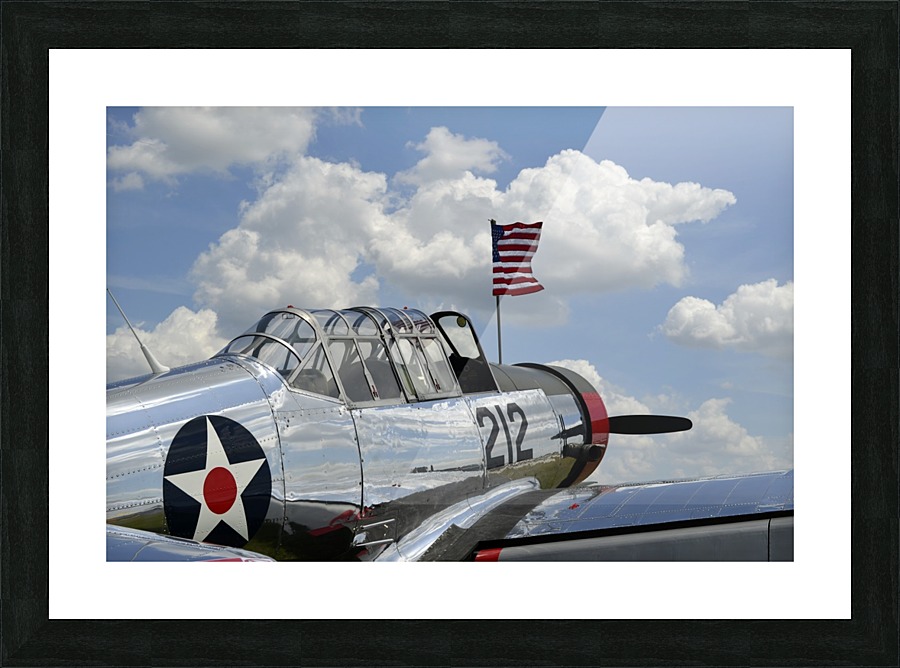 stk105443m Picture Frame print