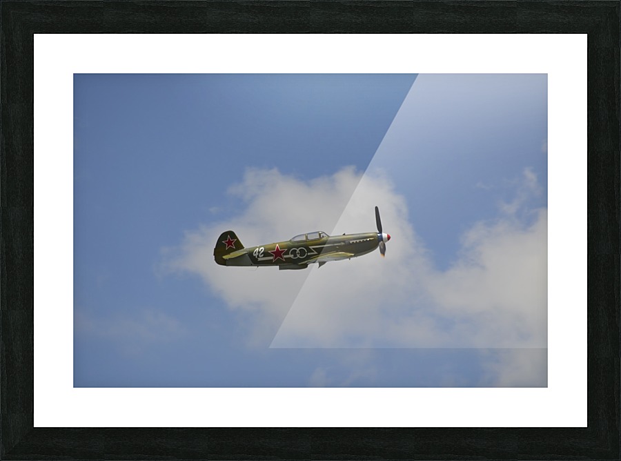 stk105486m Picture Frame print
