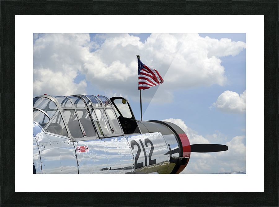stk105442m Picture Frame print