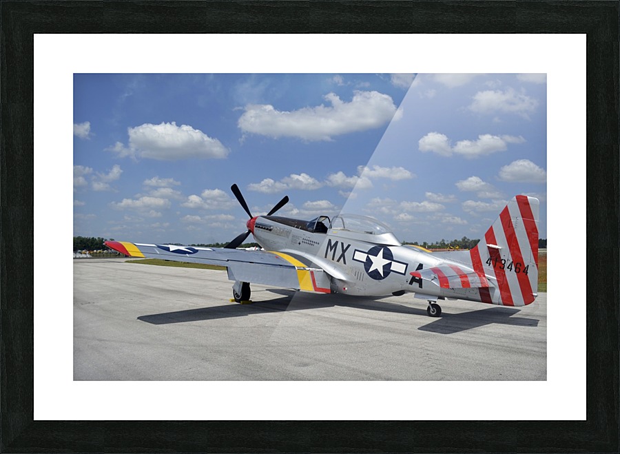 stk105462m Picture Frame print