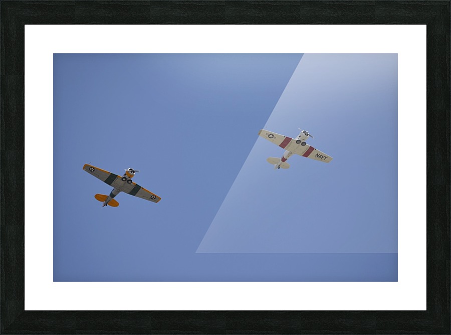 stk105494m Picture Frame print