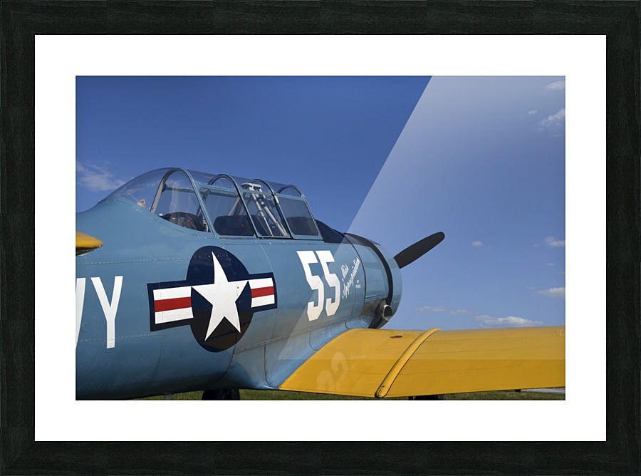 stk105456m Picture Frame print
