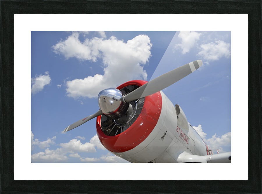 stk105439m Picture Frame print