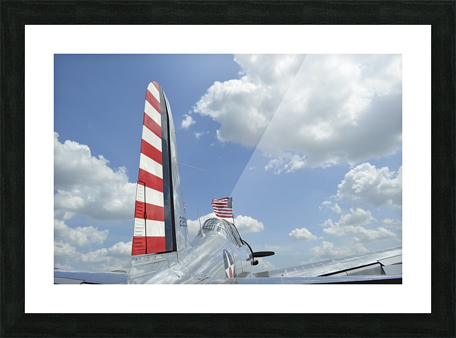stk105447m Picture Frame print