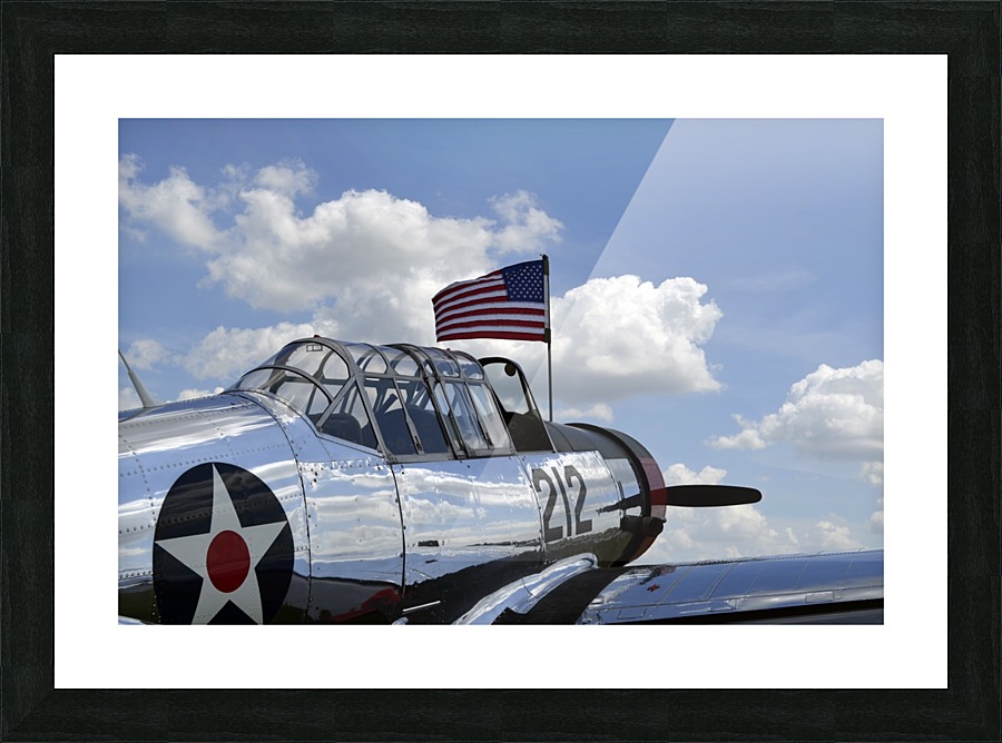stk105440m Picture Frame print