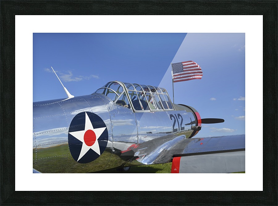 stk105457m Picture Frame print