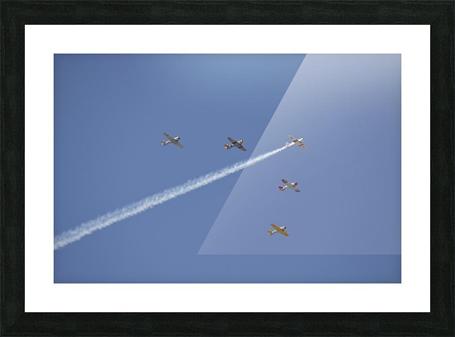stk105491m Picture Frame print