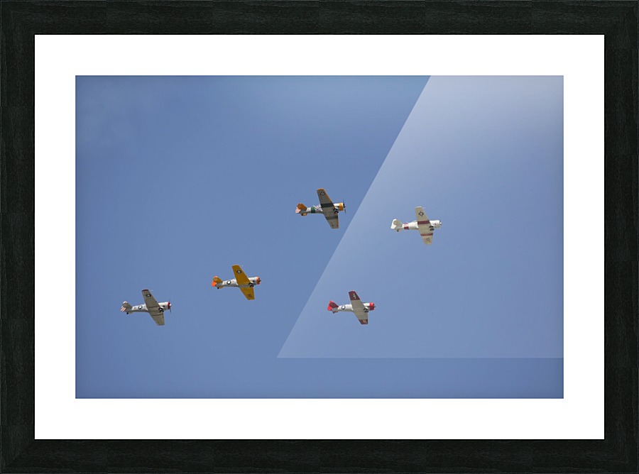 stk105493m Picture Frame print