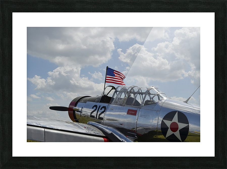 stk105444m Picture Frame print
