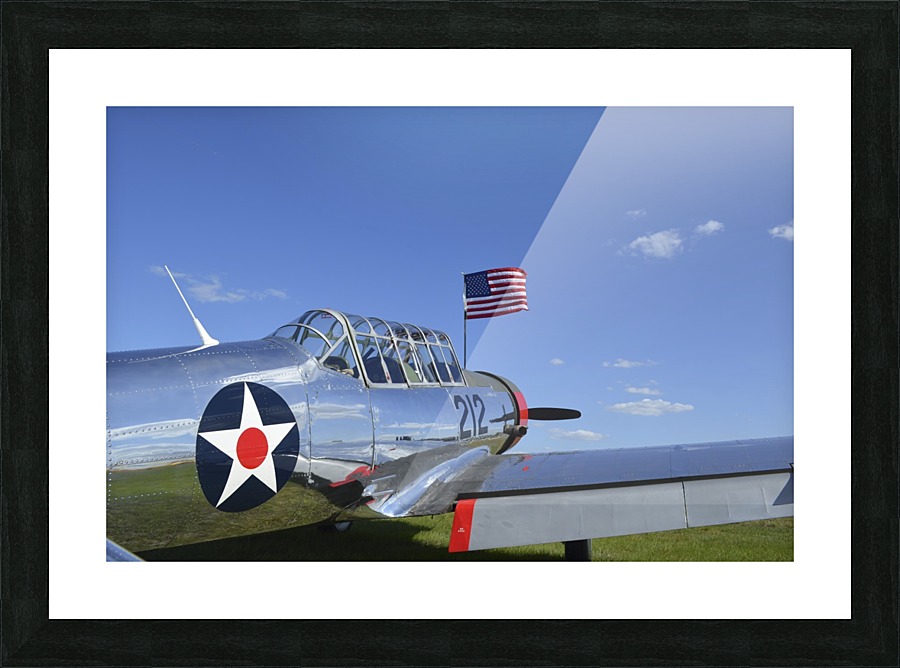 stk105463m Picture Frame print
