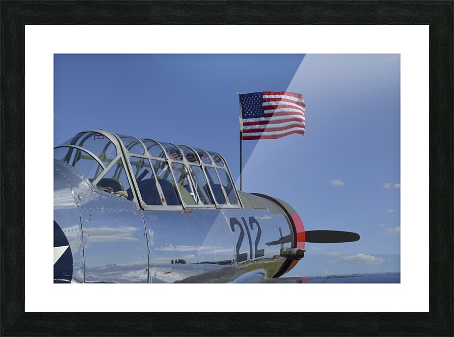 stk105458m Picture Frame print