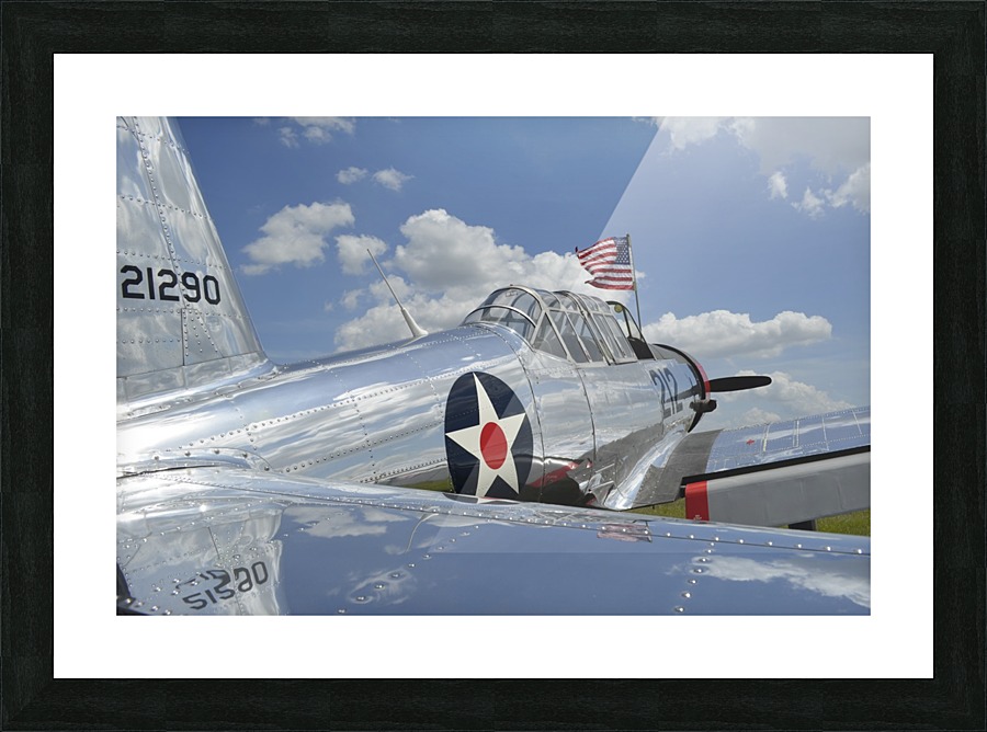 stk105446m Picture Frame print