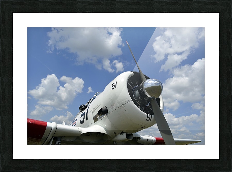 stk105448m Picture Frame print
