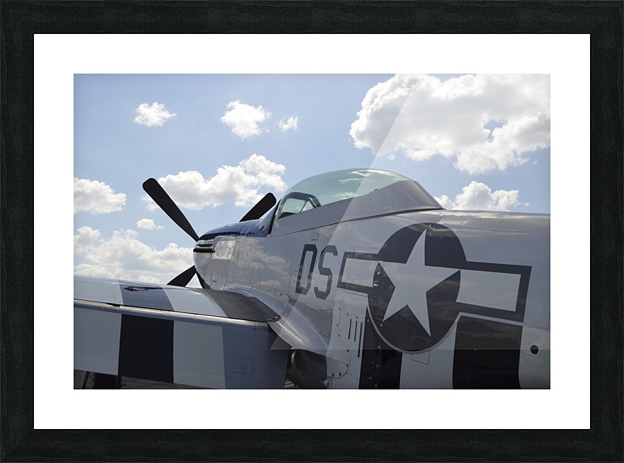 stk105464m Picture Frame print