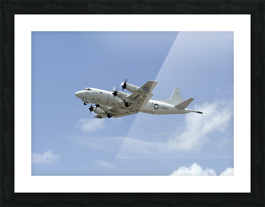 stk106465m Picture Frame print