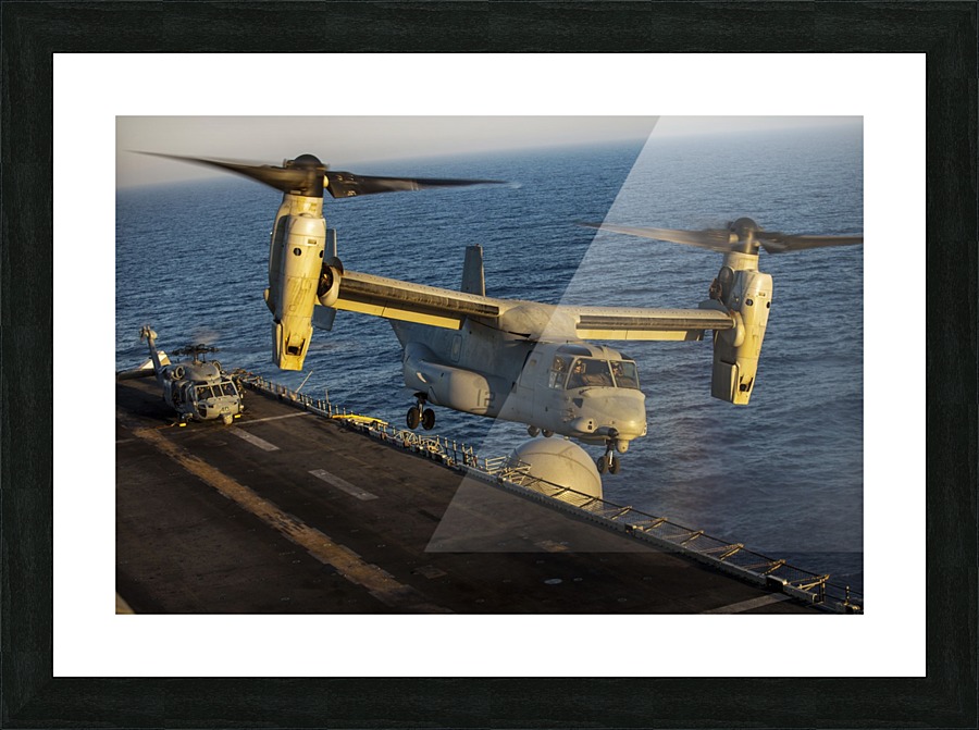 stk107701m Picture Frame print