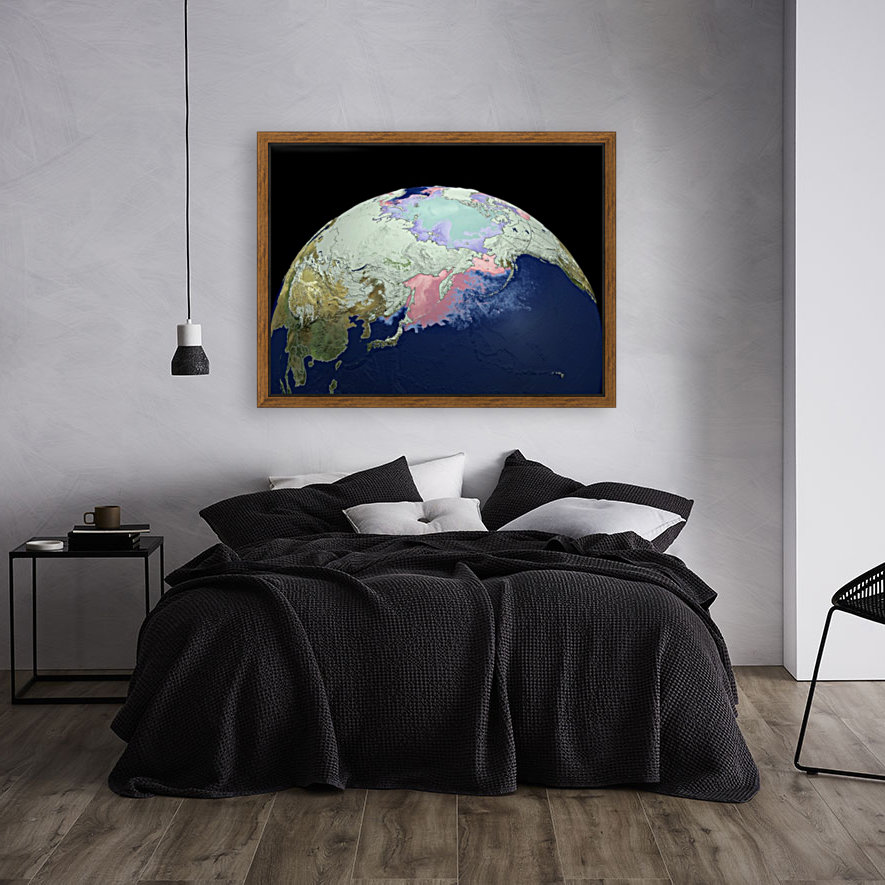 Snow Sea Ice. Reproduction