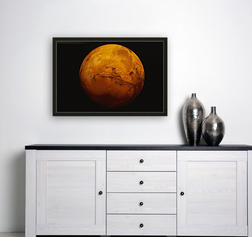 Mars Reproduction