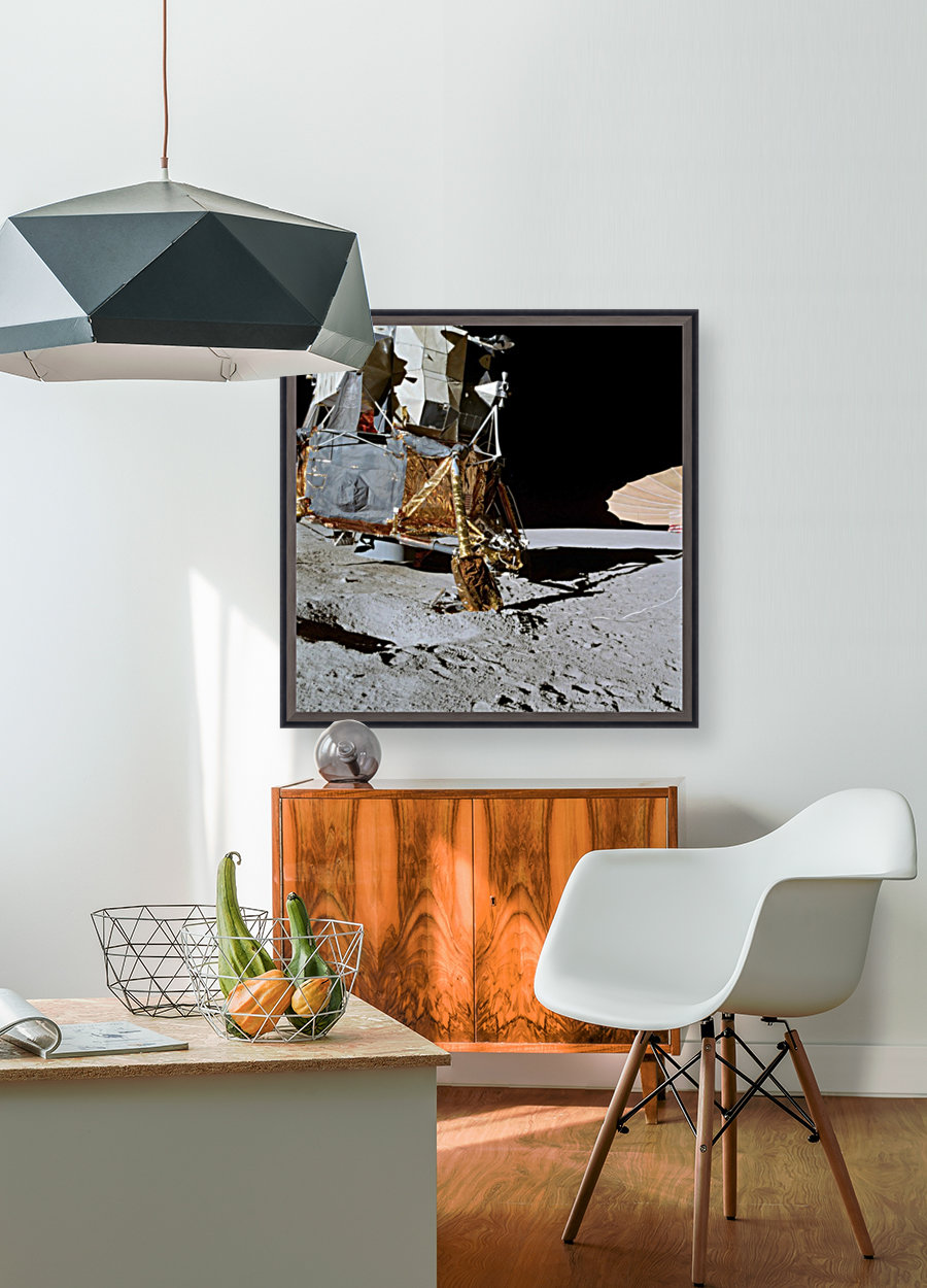 Apollo 14 Reproduction