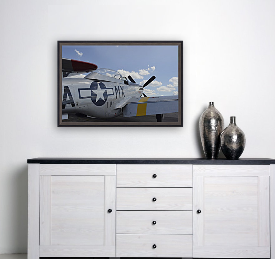 stk105455m Reproduction