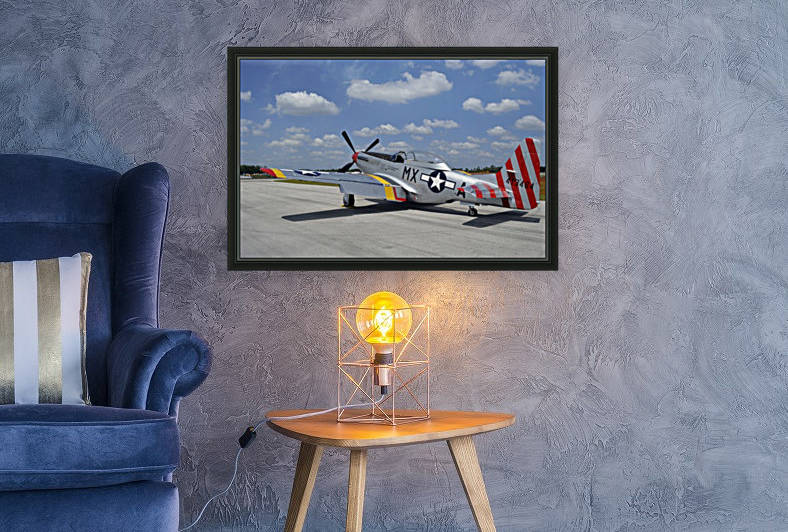 stk105462m Reproduction