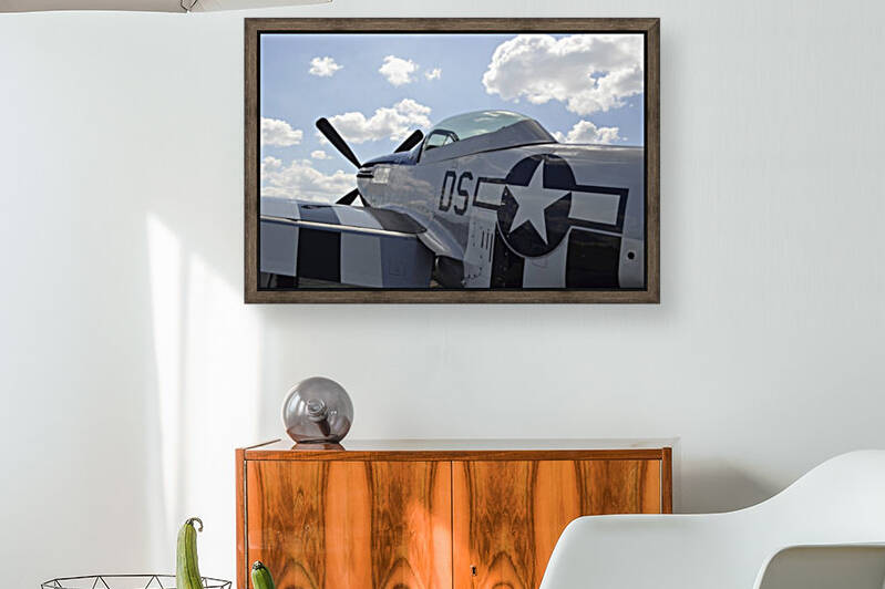 stk105464m Reproduction