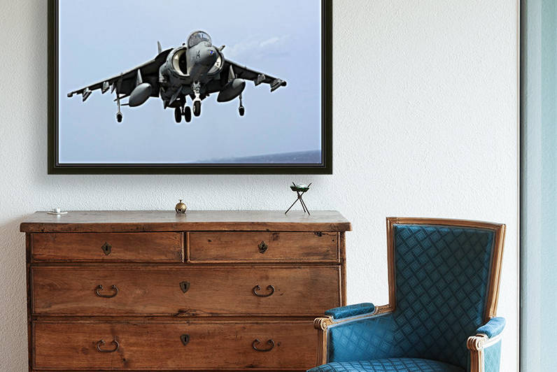 An AV-8B Harrier II+ prepares for landing. by StocktrekImages