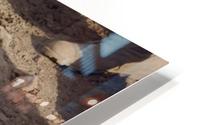 stk103047m HD Metal print