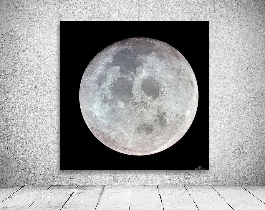 The Moon Wall Preview