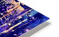 IMG 5081 Interlude  HD Metal print