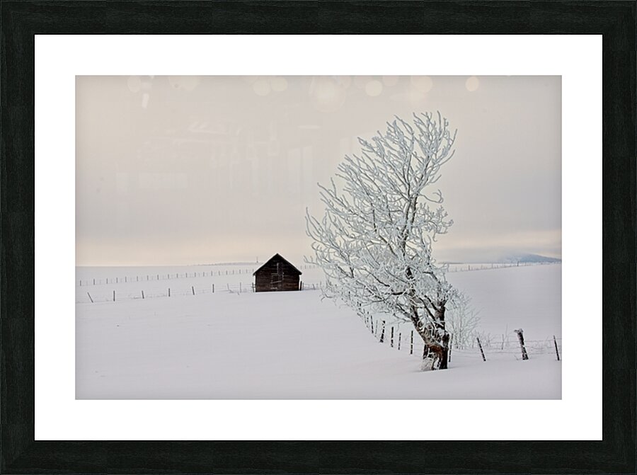 DWO 5303 Picture Frame print