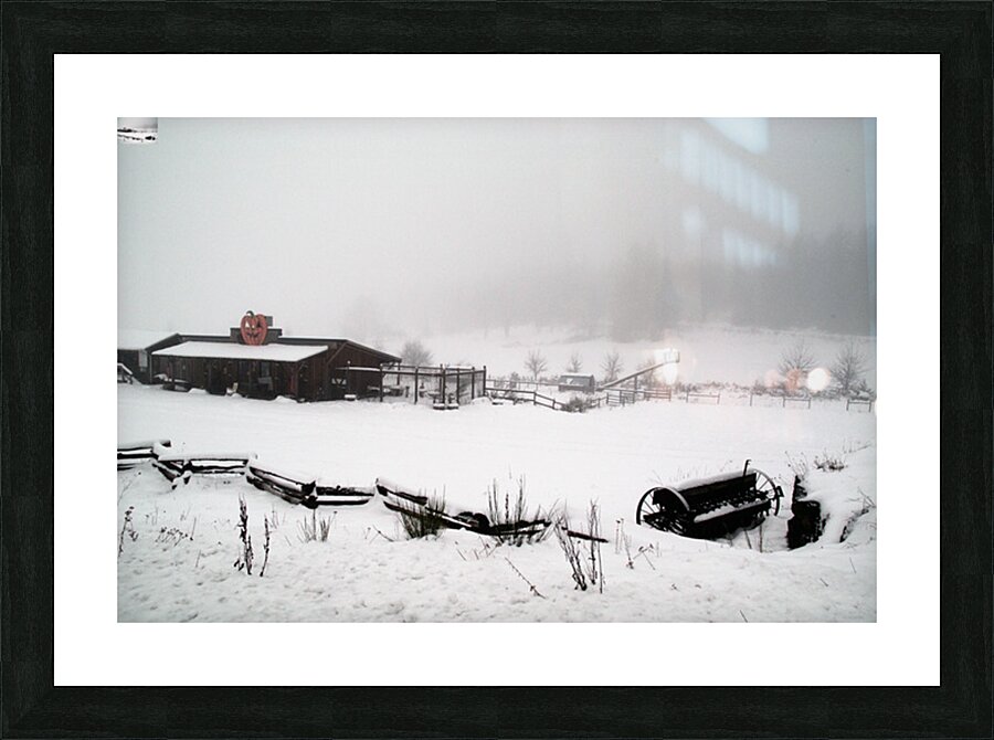 DSC 4320 Picture Frame print