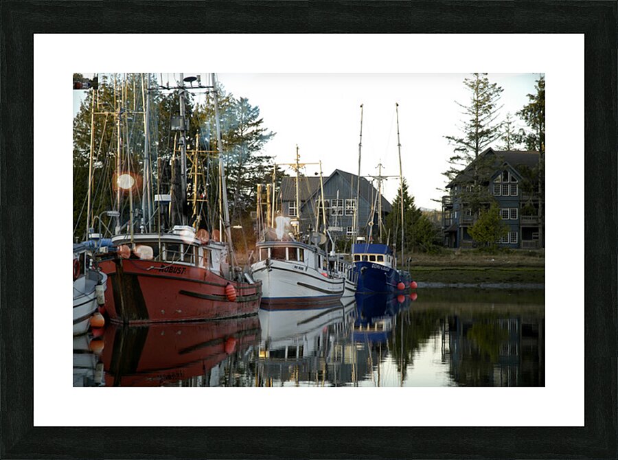 DSC 6017 Picture Frame print