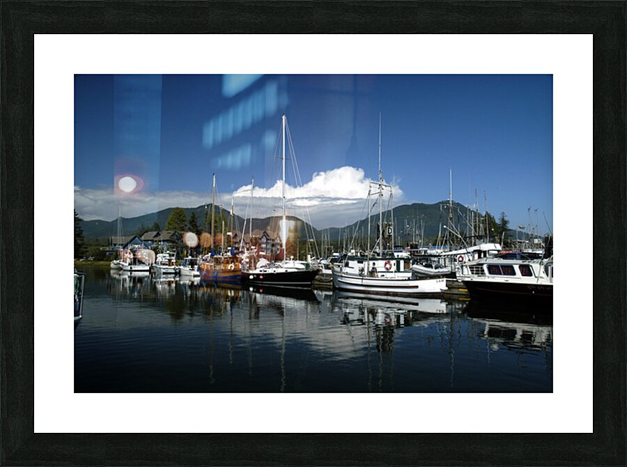 DSC 5168 Picture Frame print