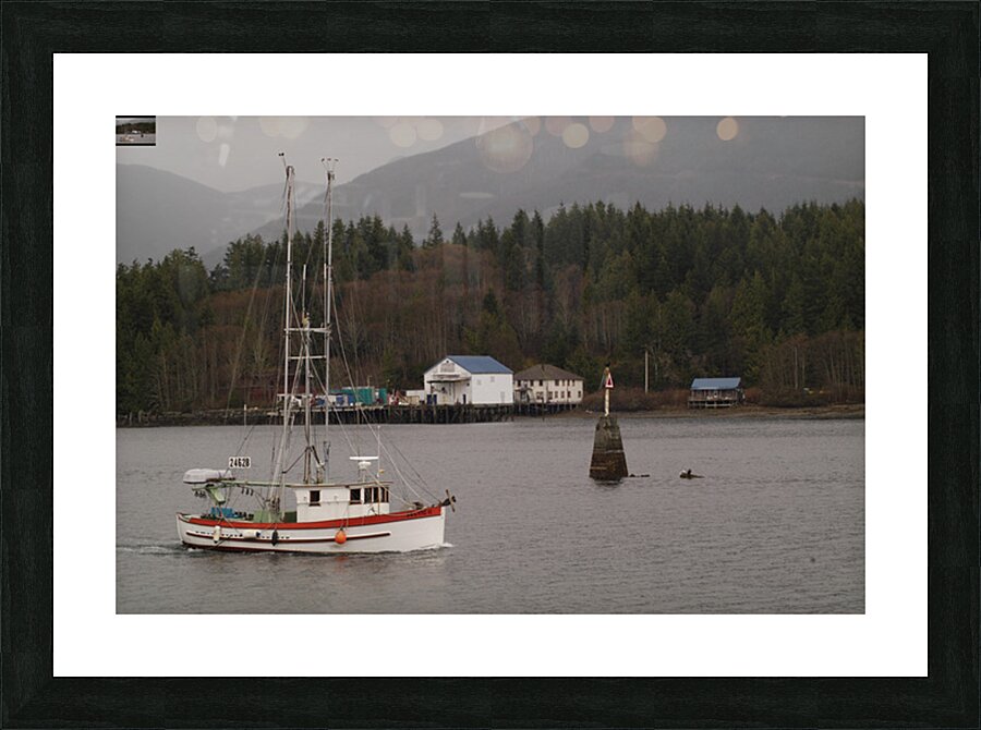 DSC 9387 Picture Frame print