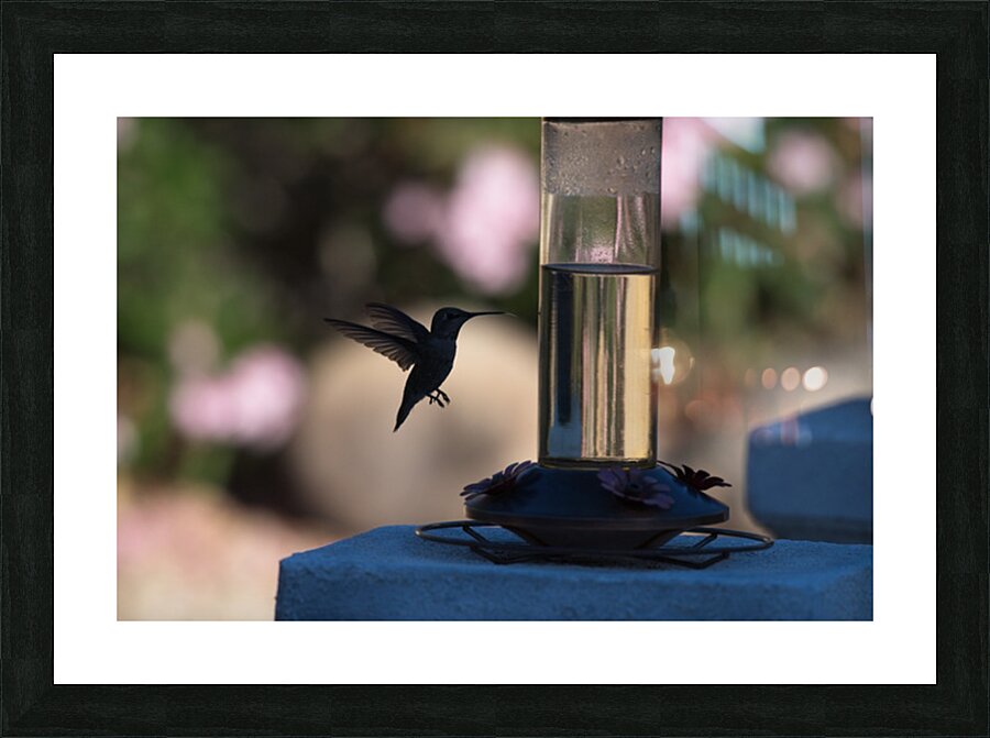  DON6626 Picture Frame print