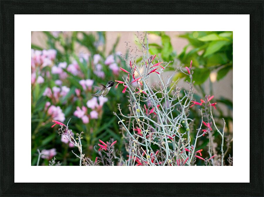  DON6407 Picture Frame print