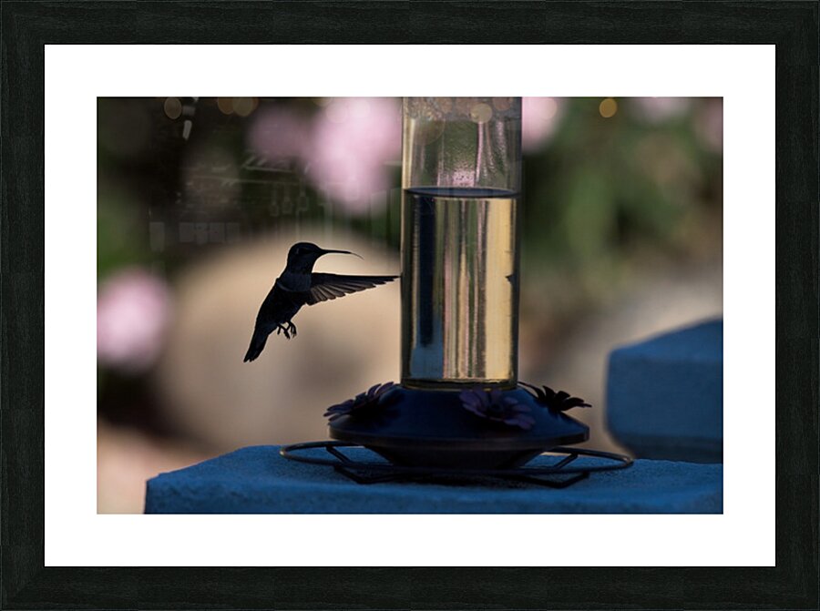  DON6620 Picture Frame print