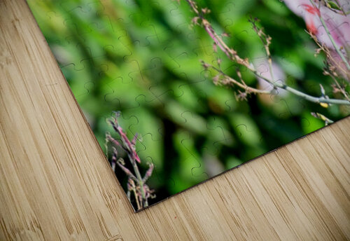  DON6555 Don Osborne puzzle