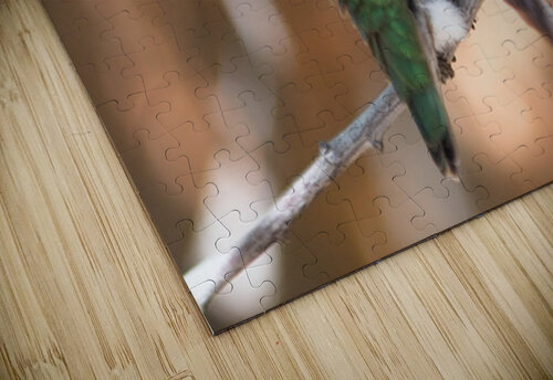  DON3975 Don Osborne puzzle